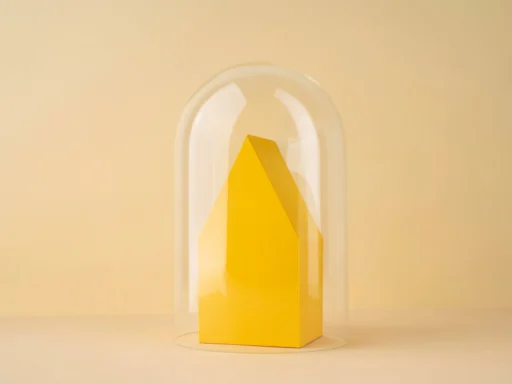 house under the dome