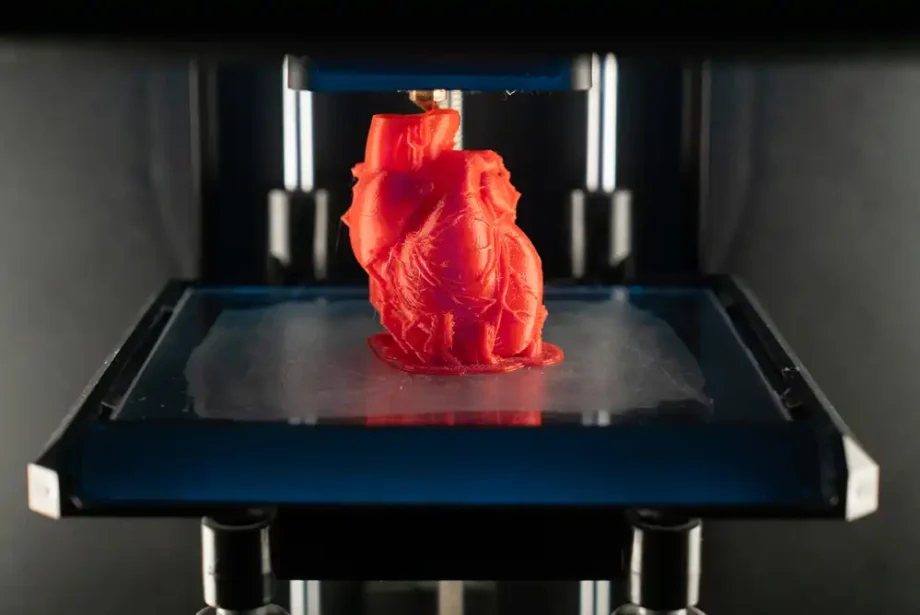3d printed heart