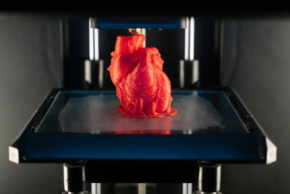 3d printed heart
