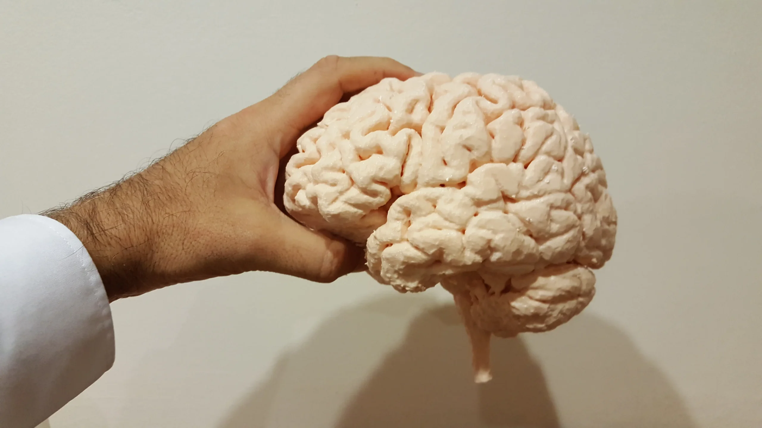 3d printed brain