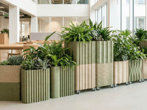 Aectual introduces Boxy