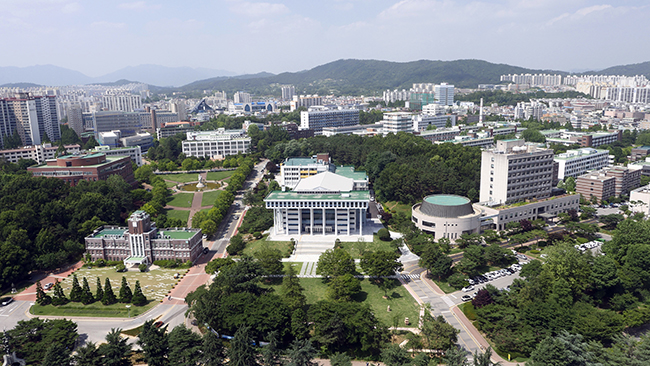 3D bioprinting evolution: From basic structures to bioengineered blood vessel models