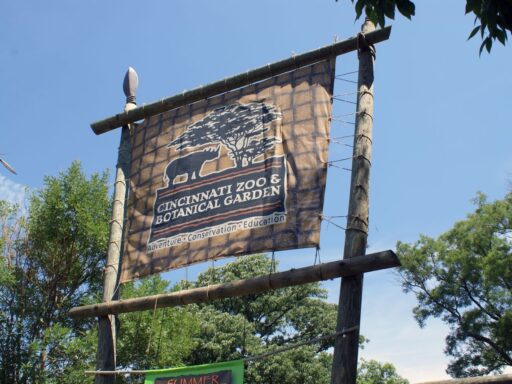 cincinati zoo