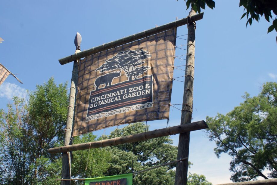 cincinati zoo