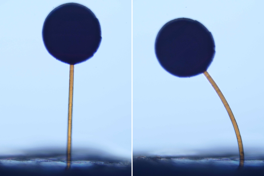 MIT’s next-gen 3D printing technique animates micro-robots