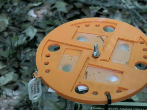 a 3D-printed trap for tracking an invasive species