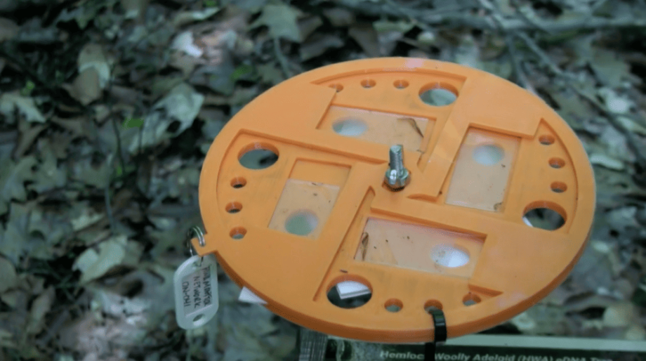 a 3D-printed trap for tracking an invasive species