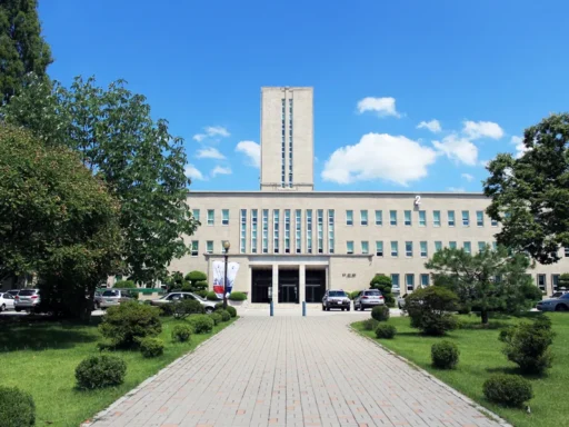 Seoul University