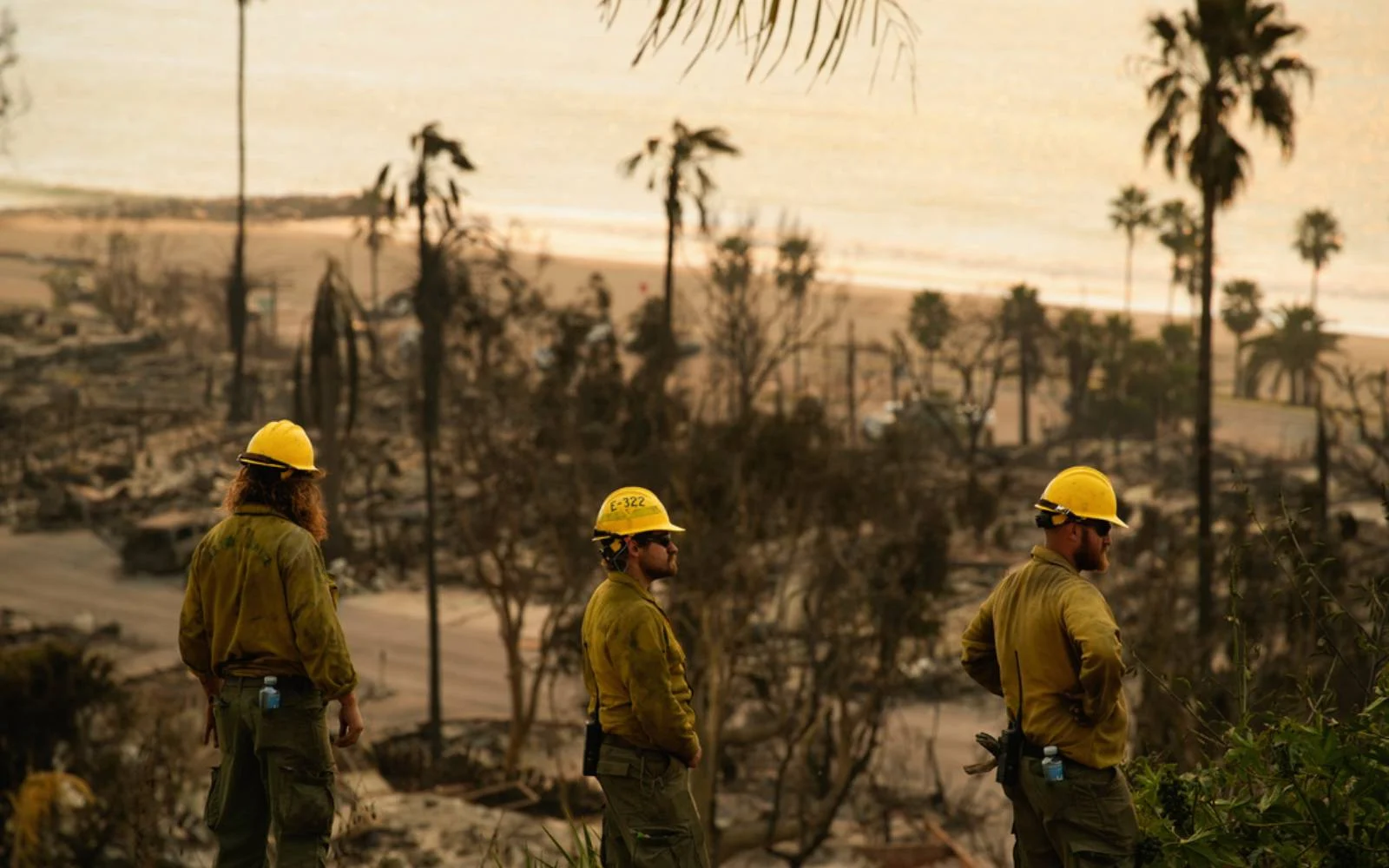 Los Angeles after wildfire