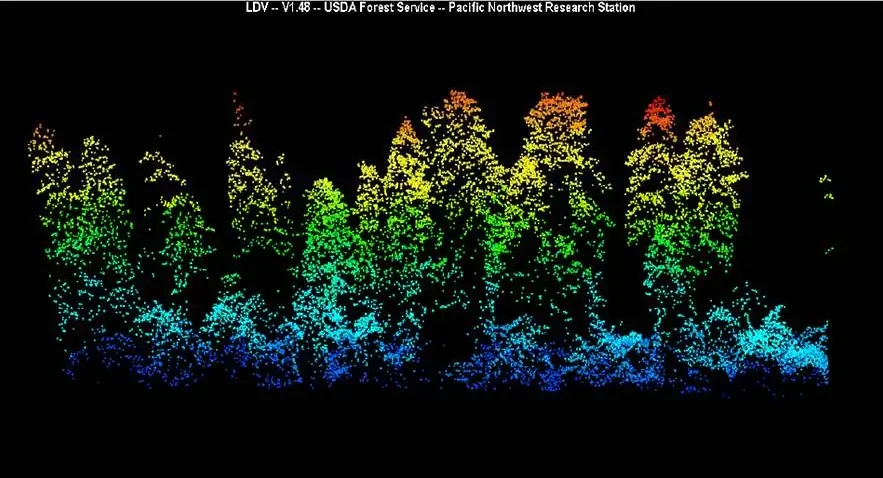 lidar of forest